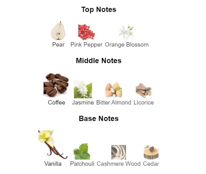 Ysl opium notes cheap